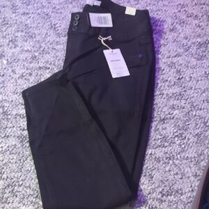 Torrid Black Skinny Women's Pants